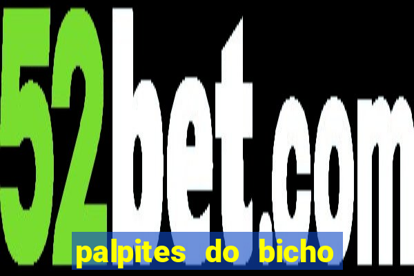 palpites do bicho no celular